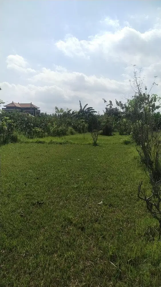 Tanah dijual kaliasem