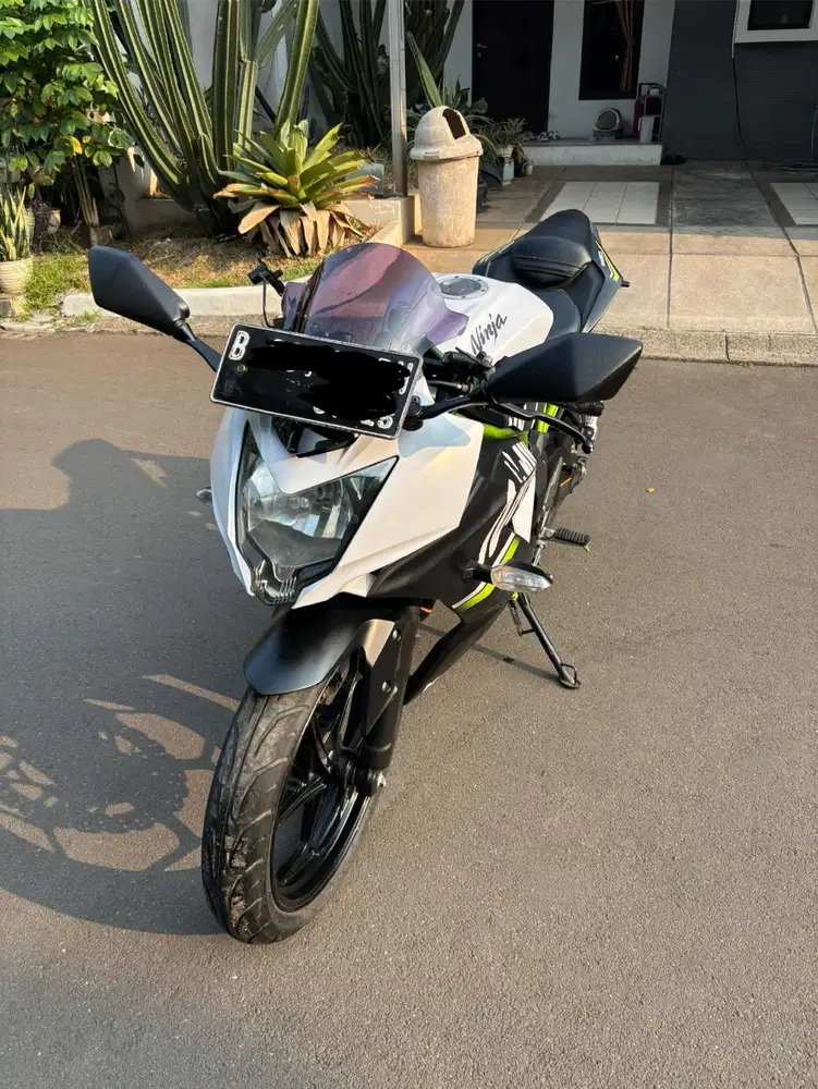 Ninja 250 Mono SL (Low KM)