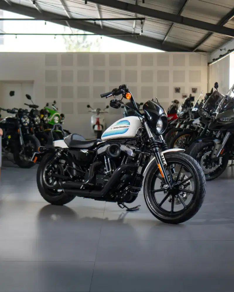 Harley Davidson Iron 1200 Sportster Billiard White 2019