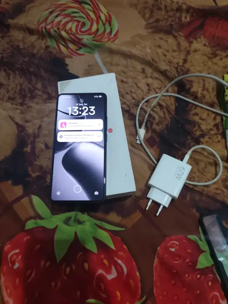 Xiaomi 14T. 12/256