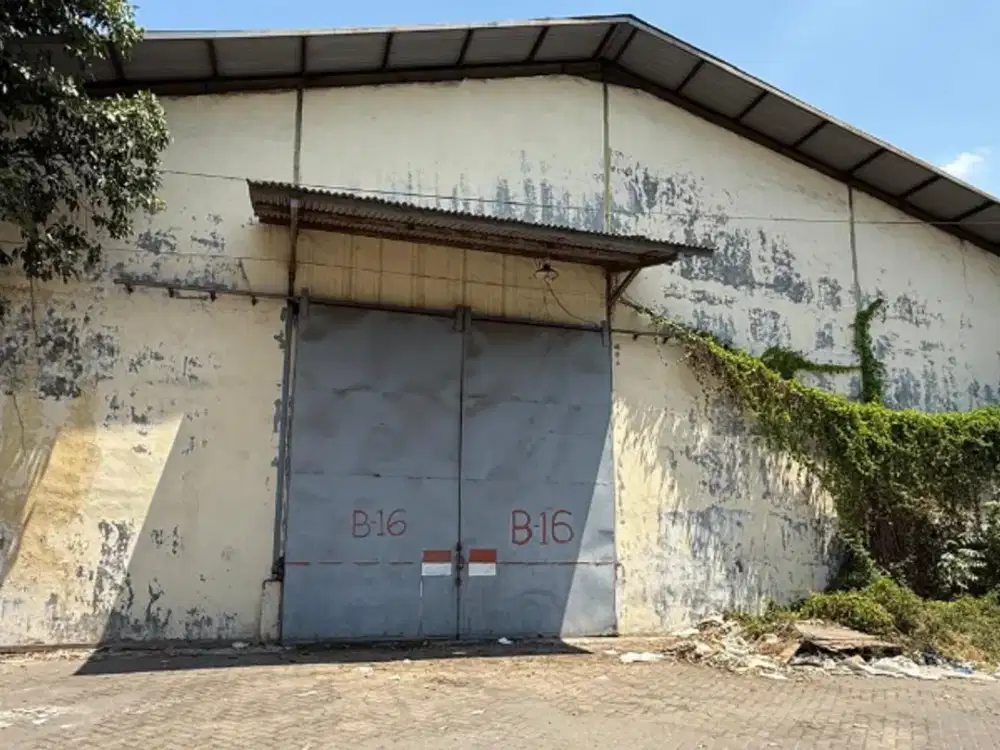 Gudang Pergudangan Tambak Langon indah dkt Margomulyo gudang dikalianak Surabaya