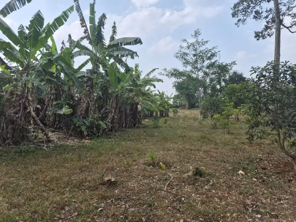 Dijual Tanah Darat 1,6 Hektar di Sukaresmi, Bogor