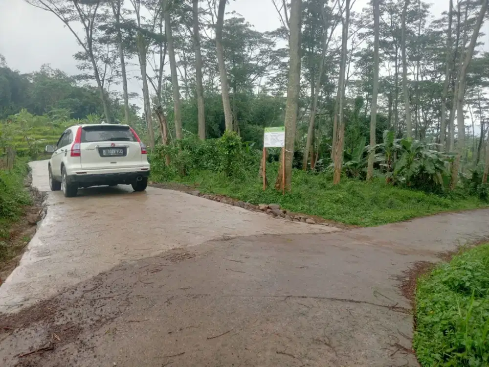 Dijual Tanah 12 Hektar di Sukamakmur, Bogor