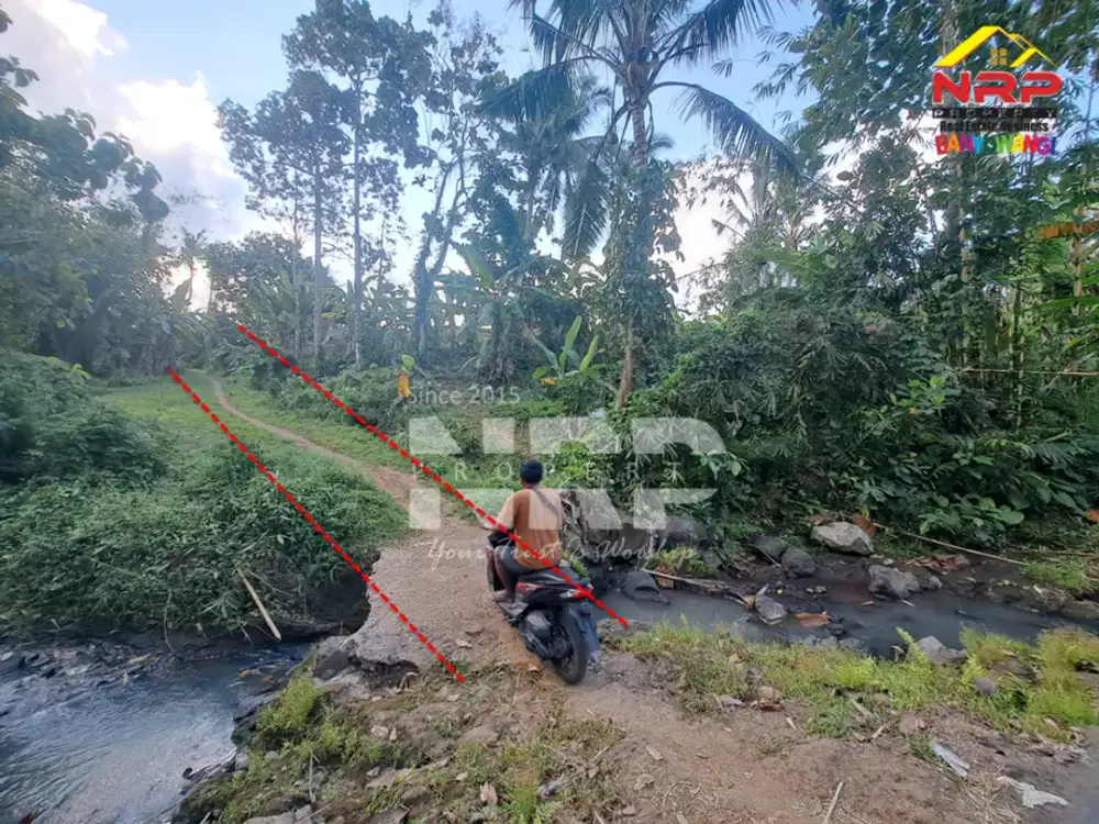Dijual Tanah Sawah di Glagah Banyuwangi