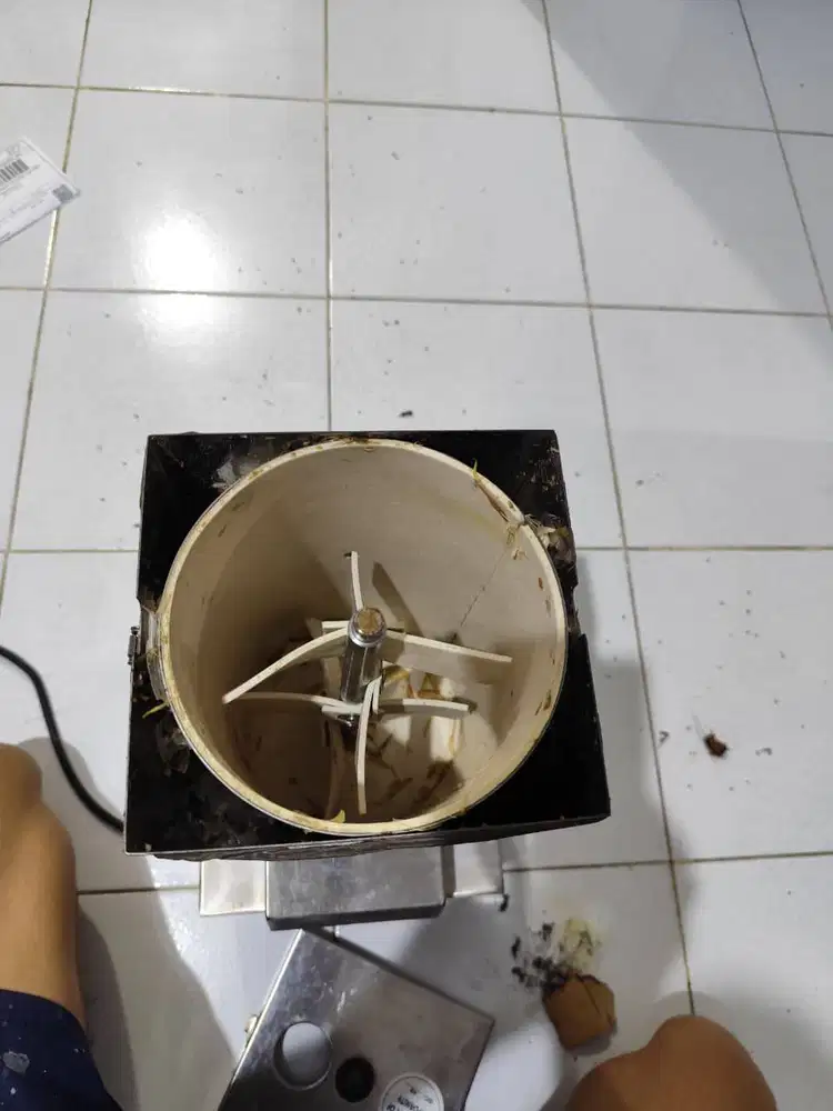 Mesin Pengupas bawang putih atau garlic peeler