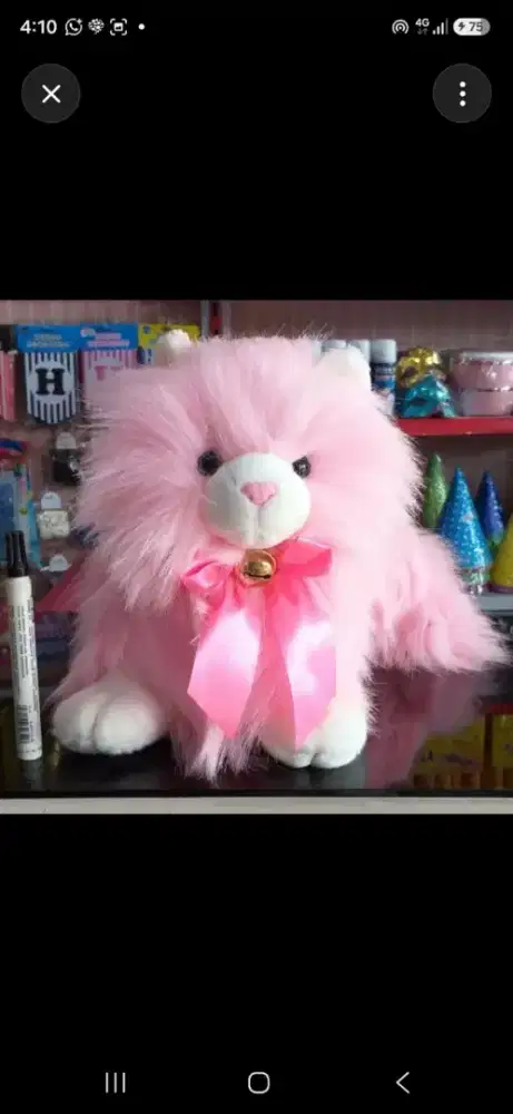 Tas kucing angora