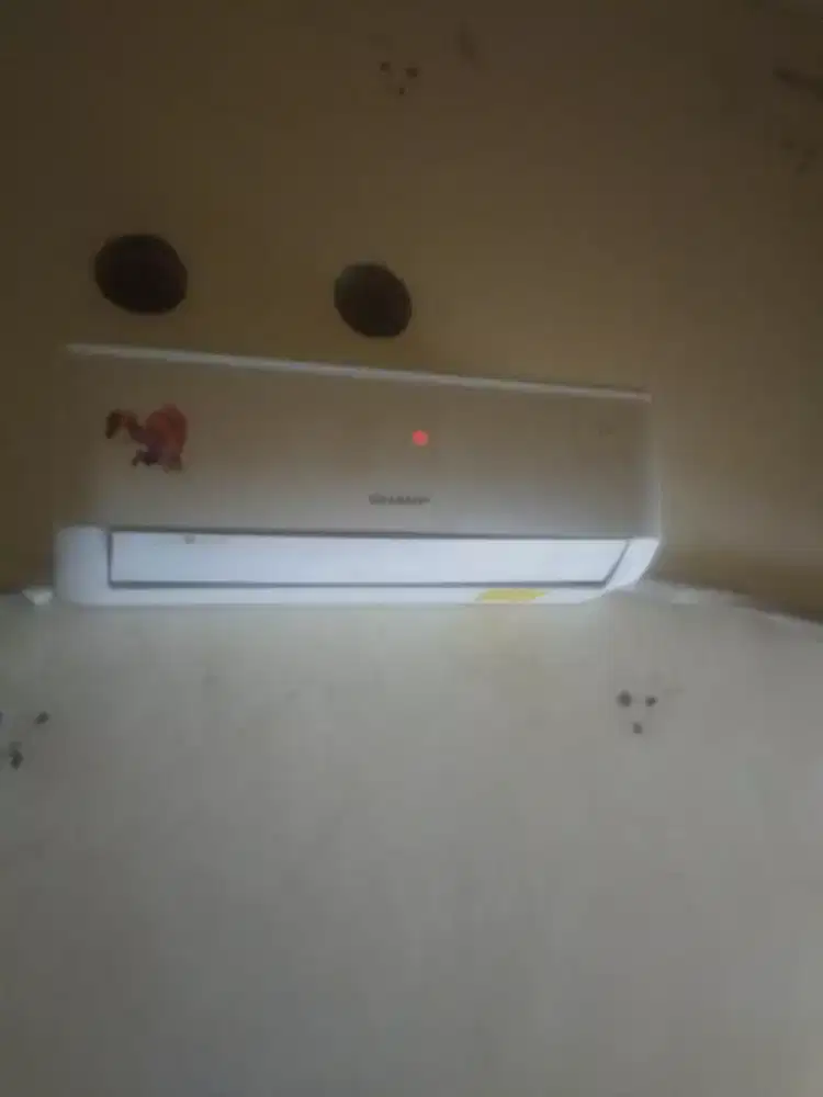 AC Sharp 1/2 PK