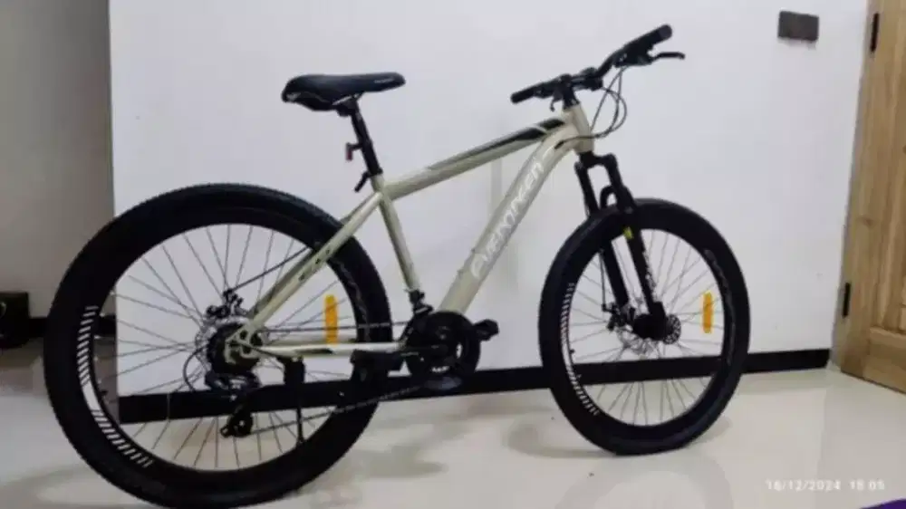 TREA Sepeda gunung 26 inch mtb evergreen 580 rem cakram velg alloy