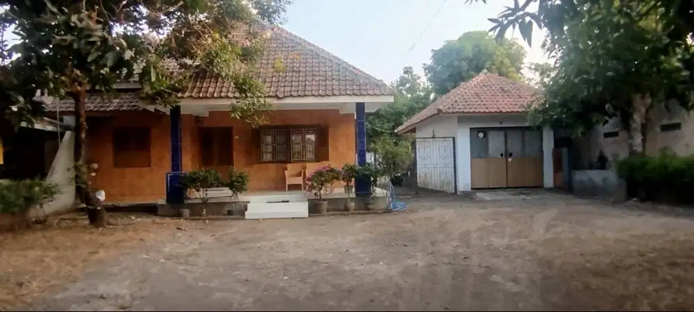 Dijual Rumah Dengan Halaman dan Kebun Yang Luas