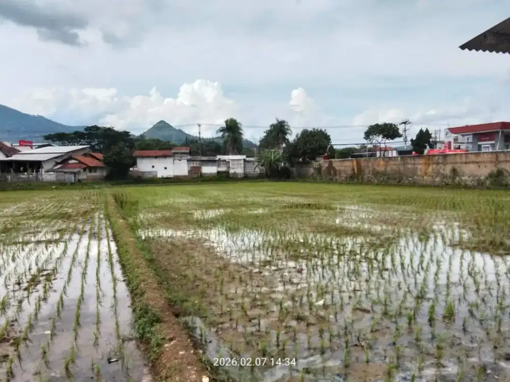 Dijual tanah luas 1 hektar lokasi rancaek