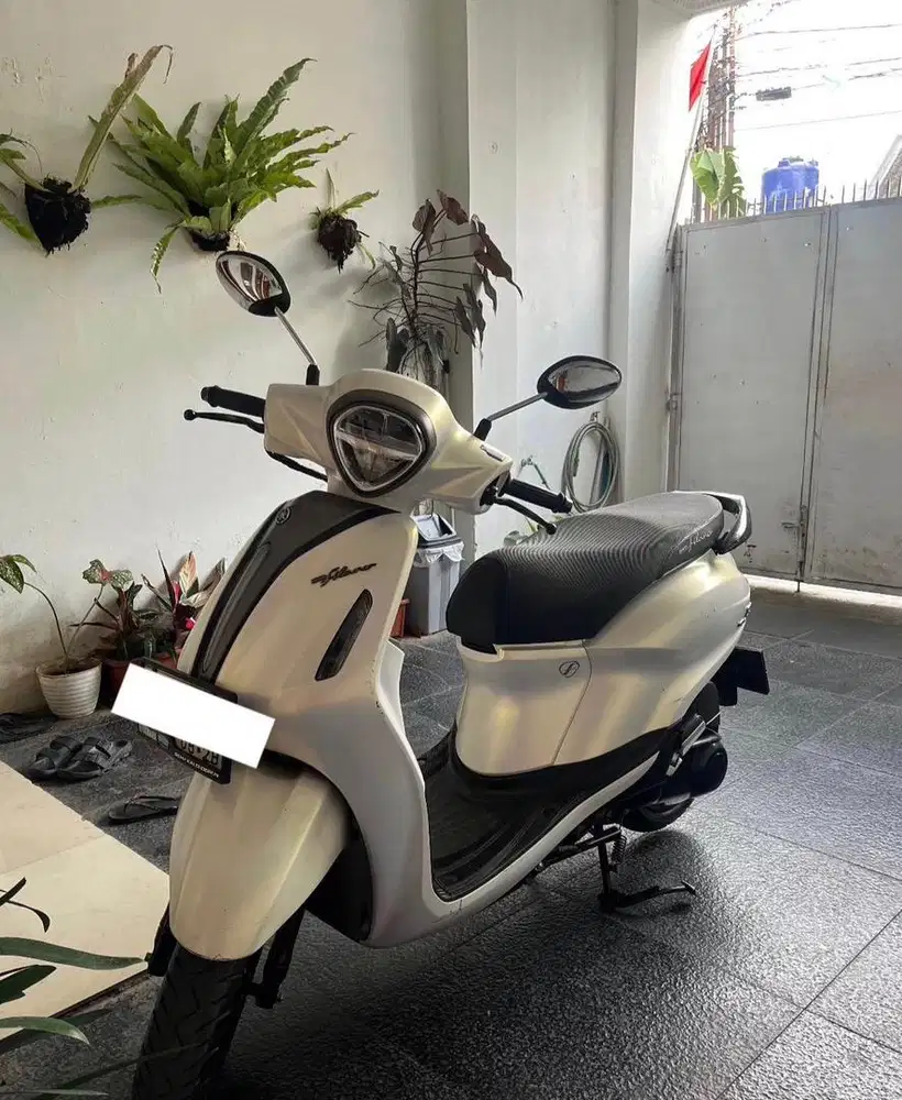 Filano 2023 Lux