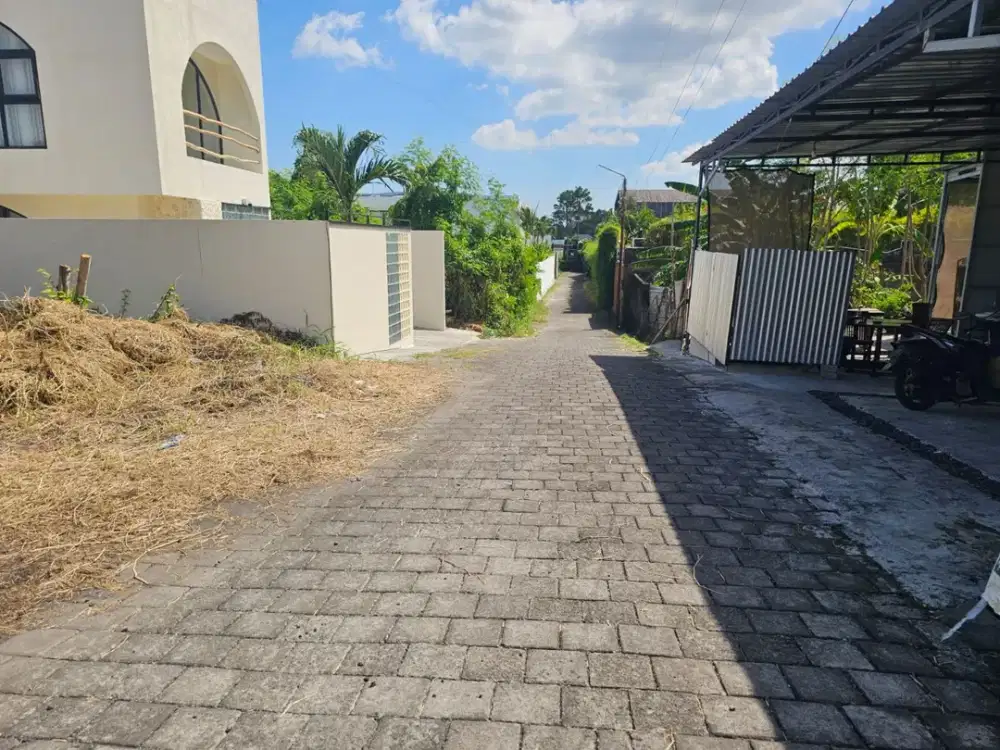 Tanah berawa canggu bali
