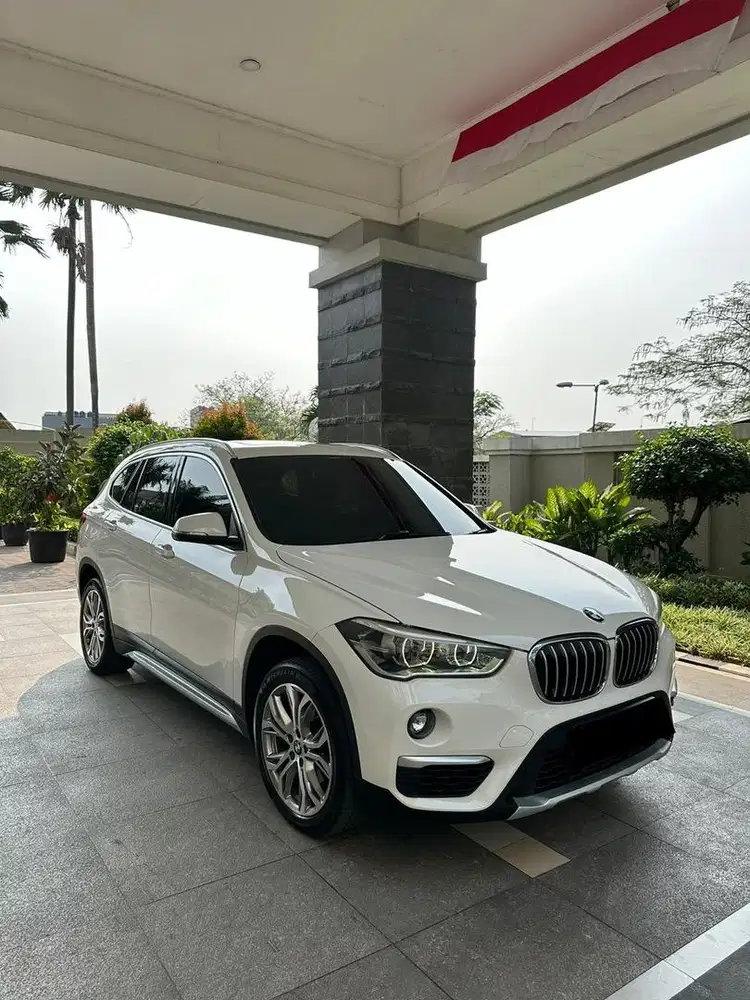 Bmw X1 xLine Panoramic 2019
