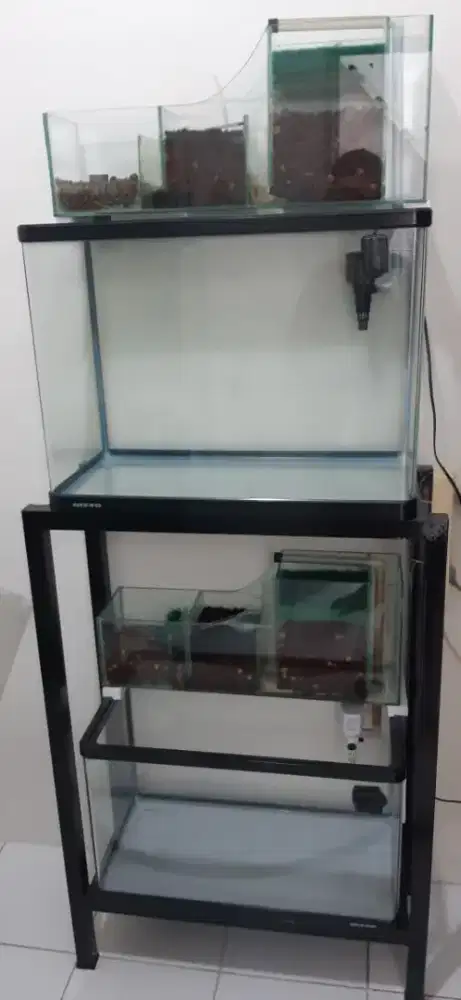 Aquarium akuarium bending nisso fullset