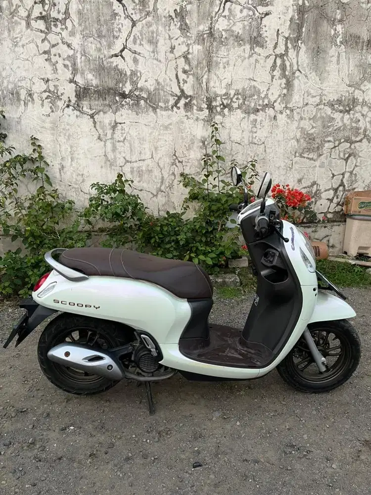 Honda scoopy komplit 2024