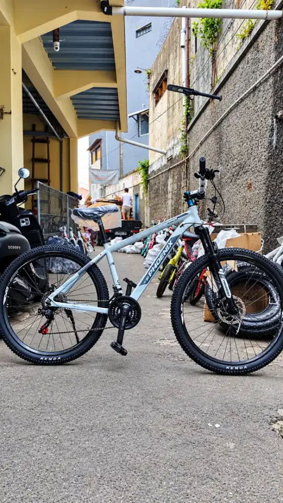Mtb phonix 27.5 aloy