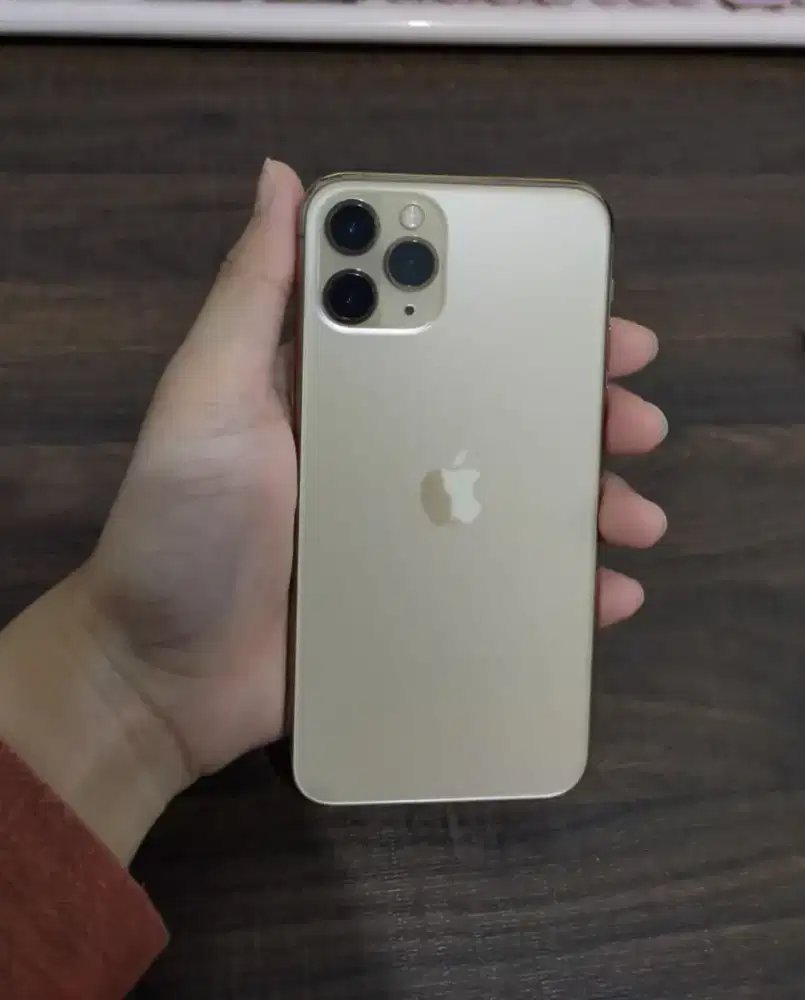 iPhone 11 Pro 256Gb Inter