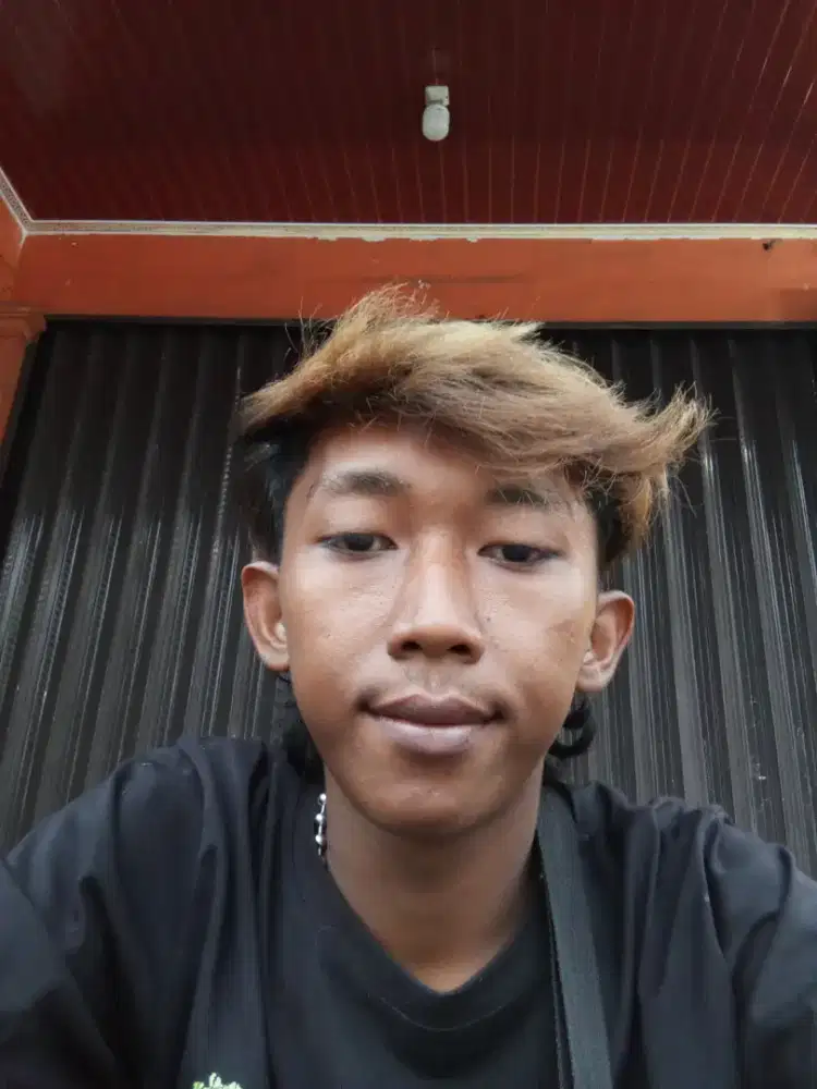 Nyari Pekerjaan Sebagai supir lalamove atau barang