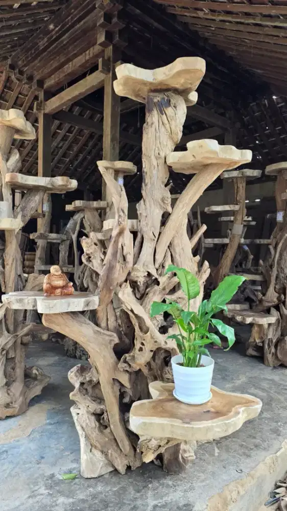 Cari tukang amplas kayu