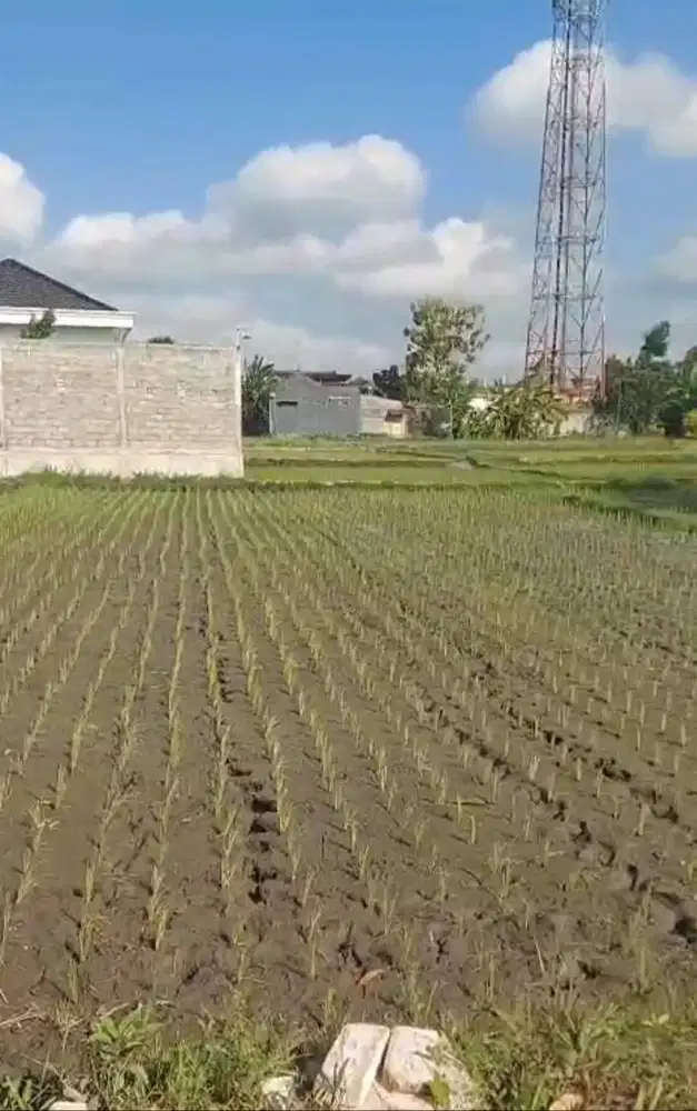 Di Jual Tanah Pekarangan