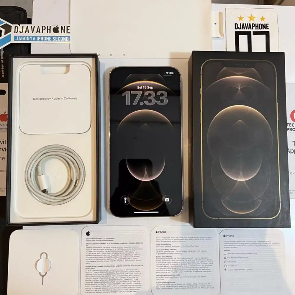 iPhone 12 Pro Max Gold 256GB Ex iBox Resmi