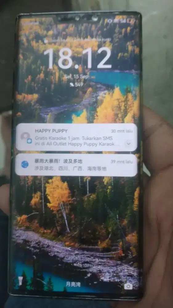 Huawei mate 30 pro minus backdoor