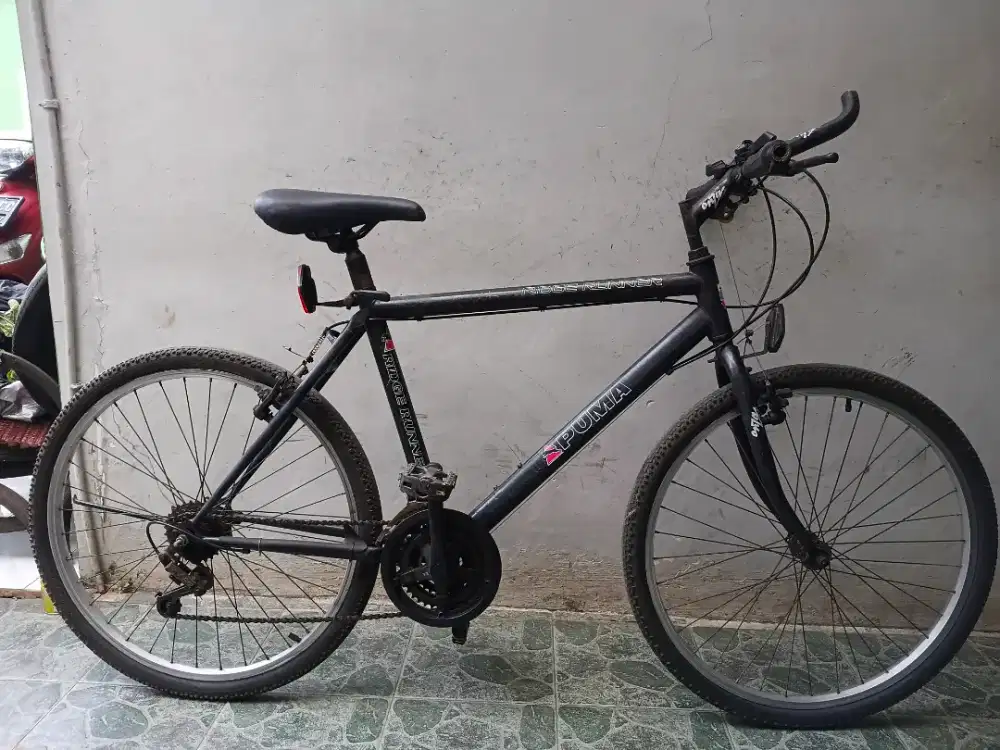 Speda Puma model federalan 26 rata air.