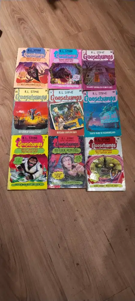 Borongan Novel Goosebumps
