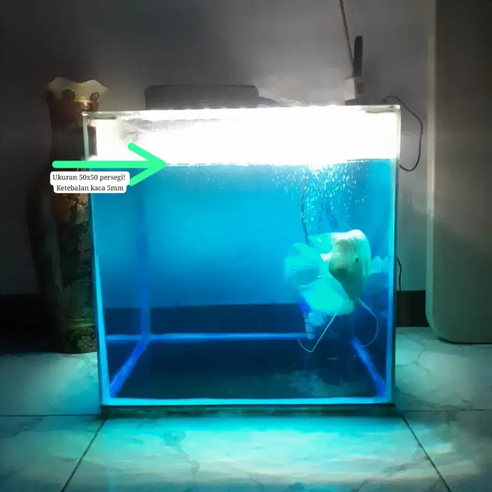AQUARIUM SET LENGKAP