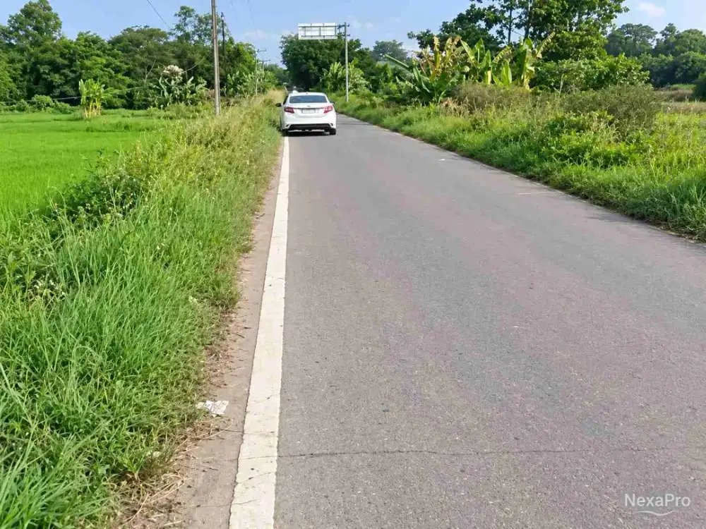 Dijual Cepat tanah zone Kuning di Kragilan Serang