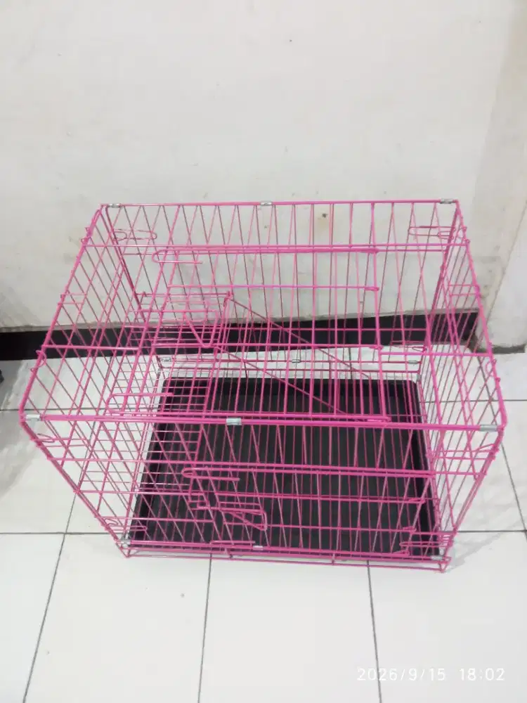 kandang baru ukuran 60