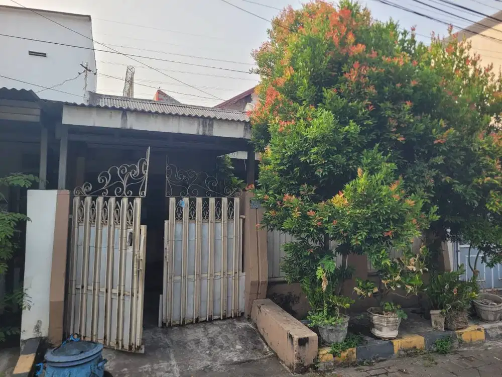 JUAL RUMAH:  HARGA TANAH SAJA! Rumah Darmo Permai Utara 108 m²