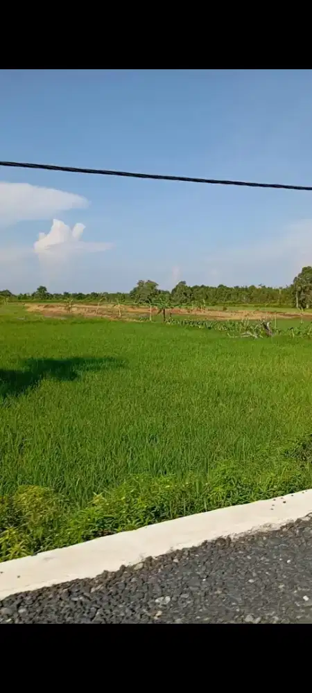 Di jual tanah pertanian