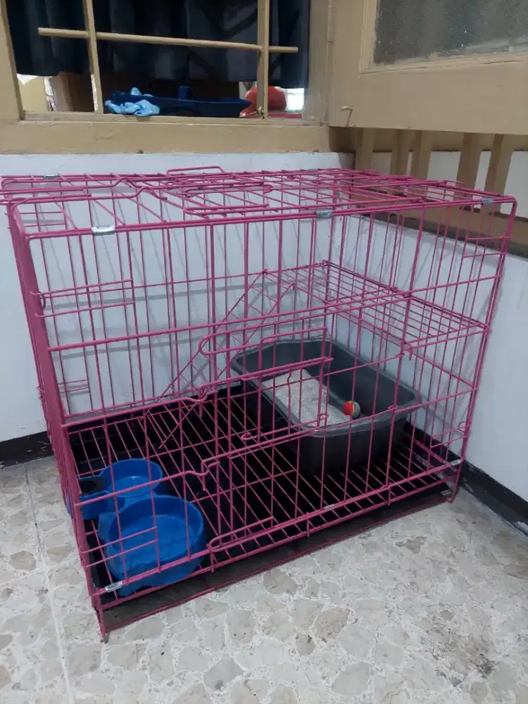 Kandang Kucing atau Anjing
