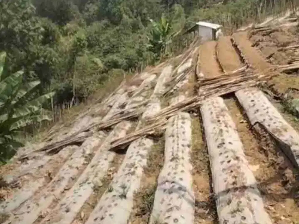 Tanah Poros Petungsewu Tumpang Malang