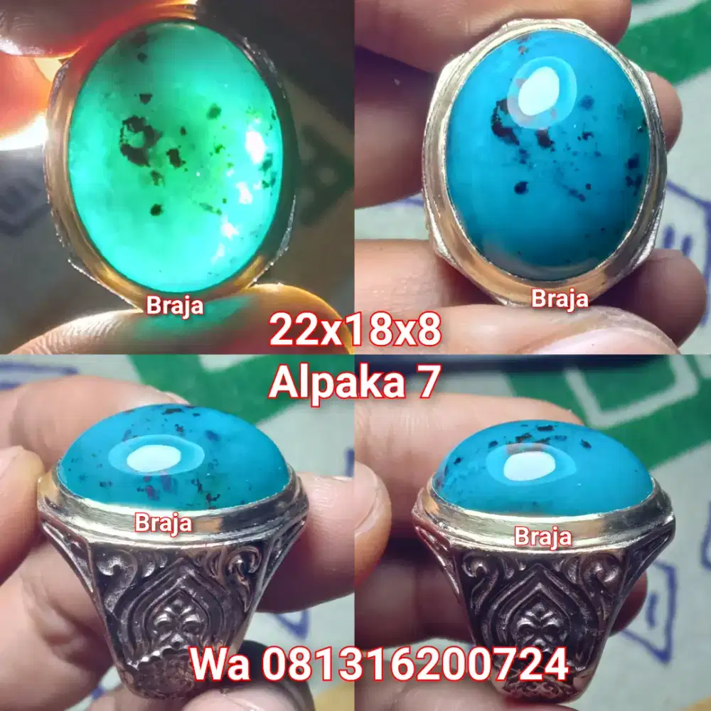 Bacan doko totol coklat