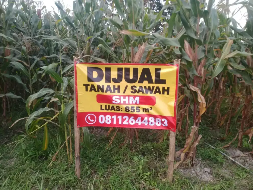 JUAL CEPAT TANAH SAWAH
