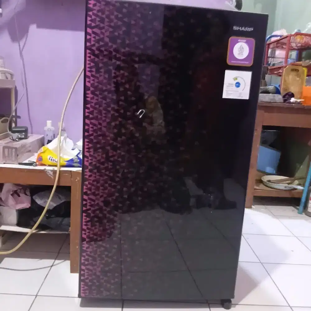 Kulkas Sharp 1pintu