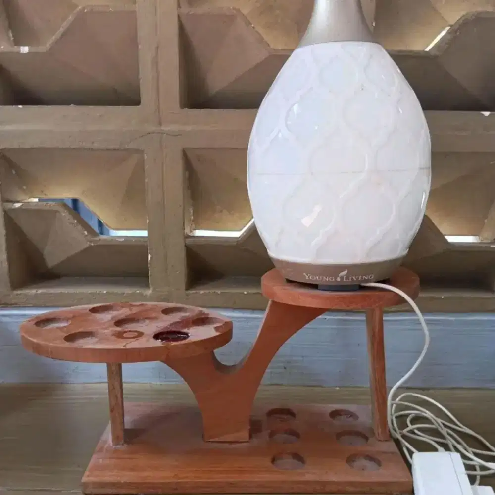 diffuser tawon/lebah tanpa kardus polosan bekas