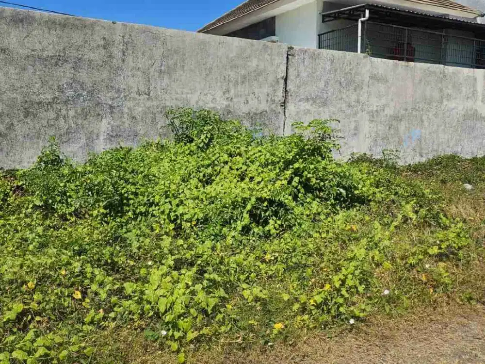 Dijual Via Lelang Tanah di Sedati Sidoarjo
