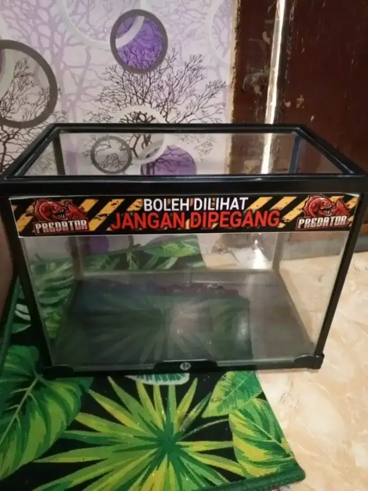 Aquarium UK 30cm