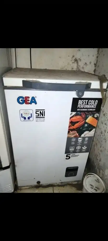 Freserbox gea 100liter normal beku siap pakai