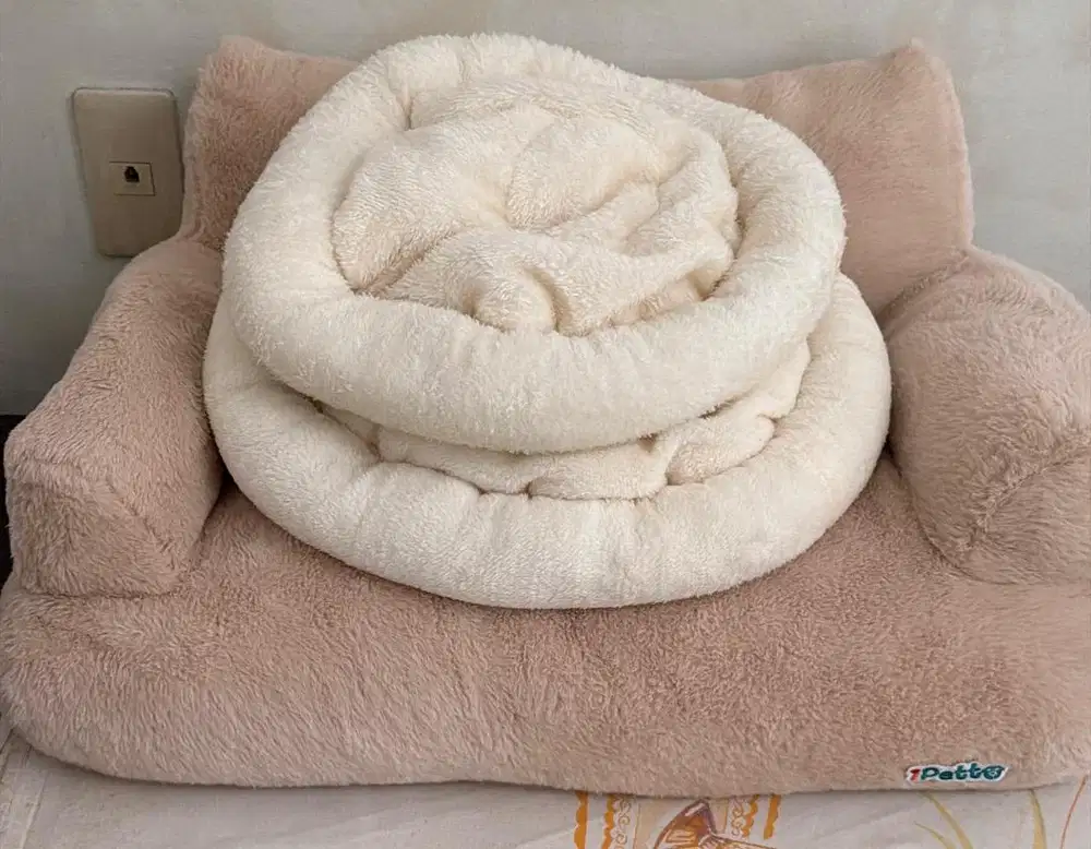 Sofa kucing bonus bed