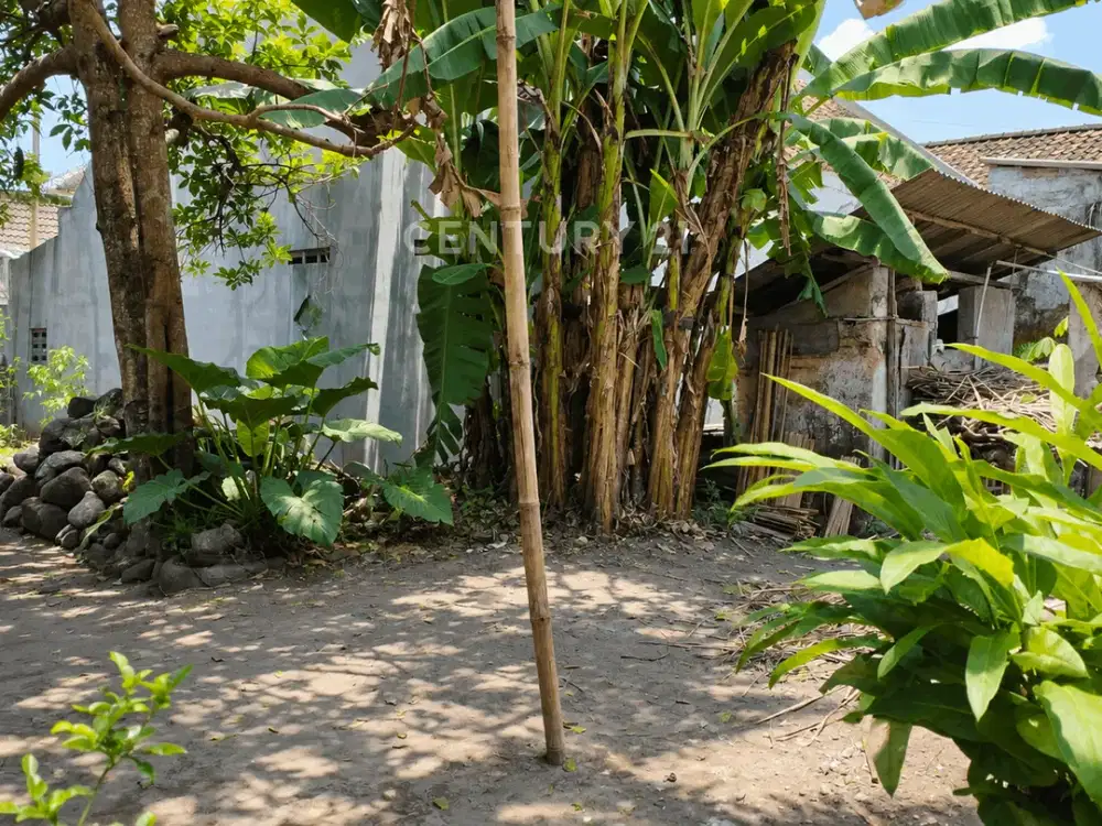 Tanah 121m2 Di Nogotirto Dekat Ringroad Barat Cocok Bangun Rumah