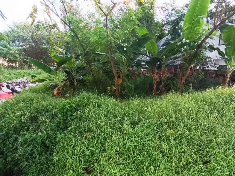 DiJual Kavling Palm Spring Peruntukan Rumah Dekat Pusat Kota batam Center