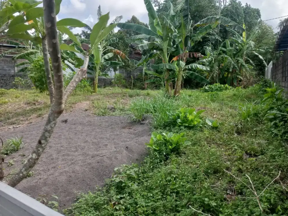 [JUAL]Tanah Strategis Kota Gianyar Bali 8 Are / 800 m2