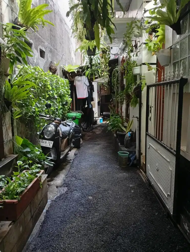 Di jual rumah untuk di buat koskosan