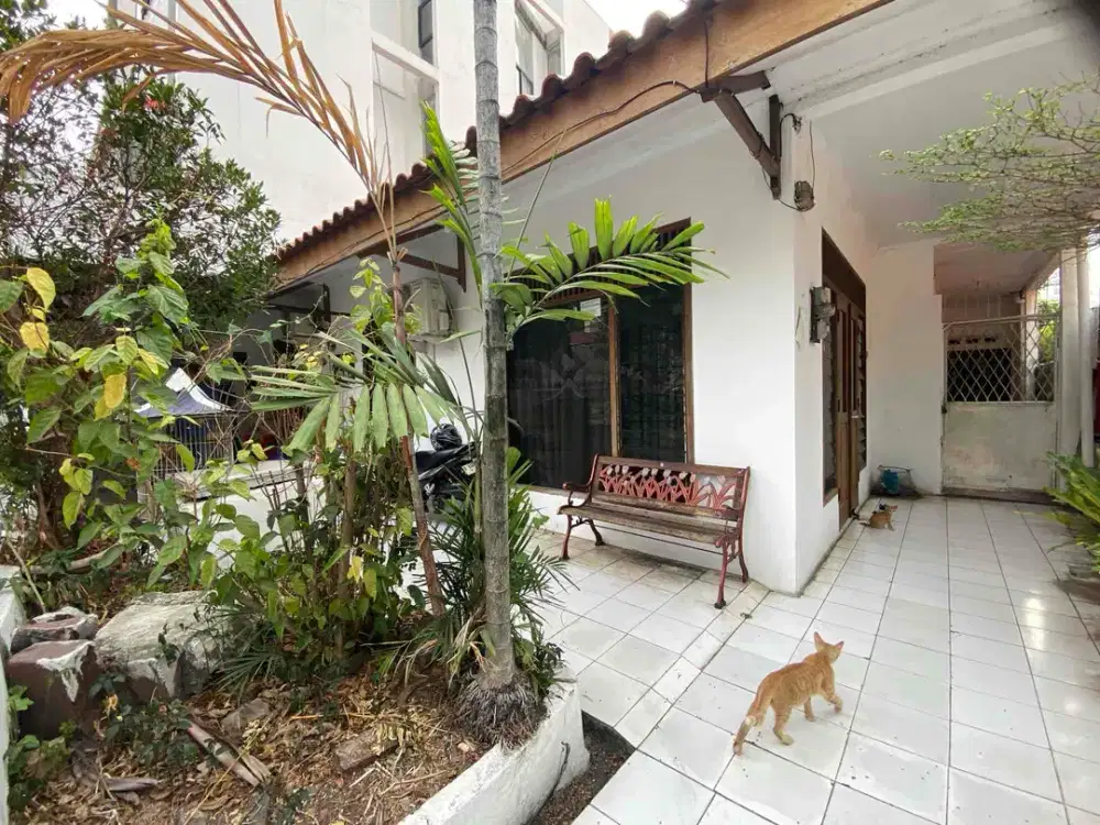 Jual Rumah di Segitiga Emas, Jalan Depan Lebar Luas, Luas Tanah 231M2, belakang hotel bintang 5, sekeliling homestay, kos an exclusive, harga Rp 11M nego