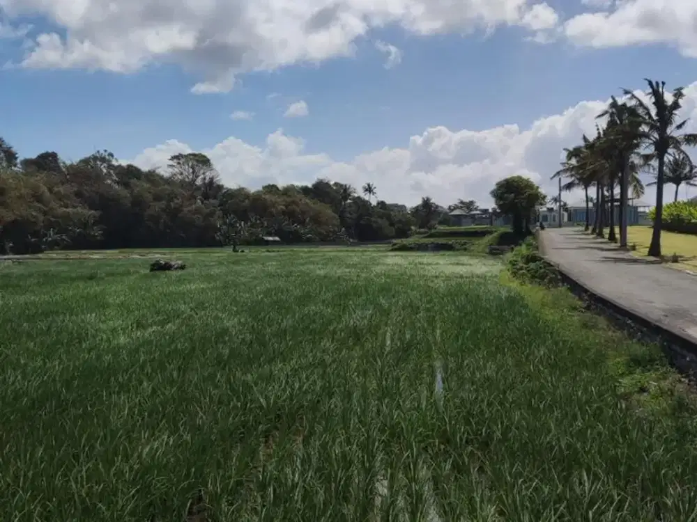 Tanah Premium dekat Pantai Pabean Ketewel Gianyar Bali