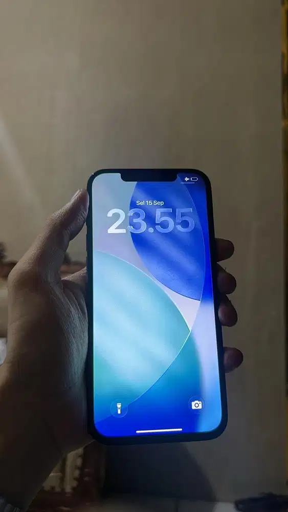 Iphone 12 promax 128 inter